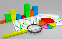 Multiple Report Theme & Style